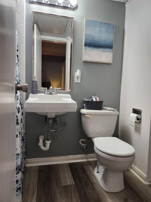 Blue Shark *W7* @ Montrose 1Br Private King Loft Apartment Houston Ngoại thất bức ảnh